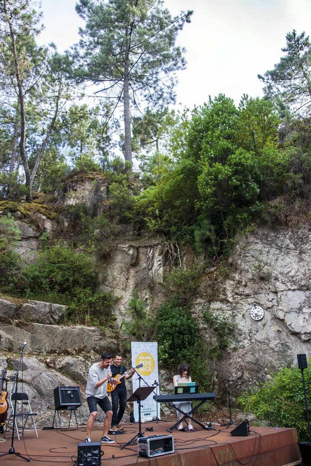 Concerto Botánico Montealegre